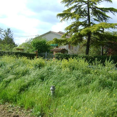 سبيلّو B&B La Mimosa المظهر الخارجي الصورة