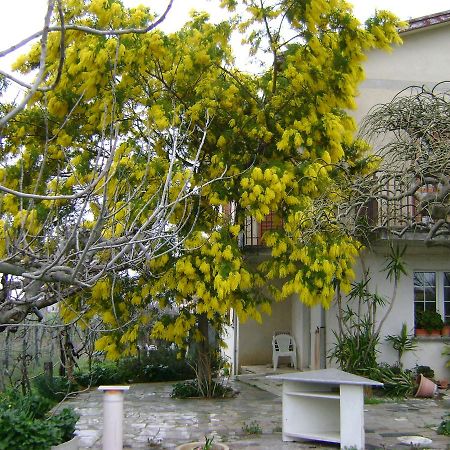 سبيلّو B&B La Mimosa المظهر الخارجي الصورة