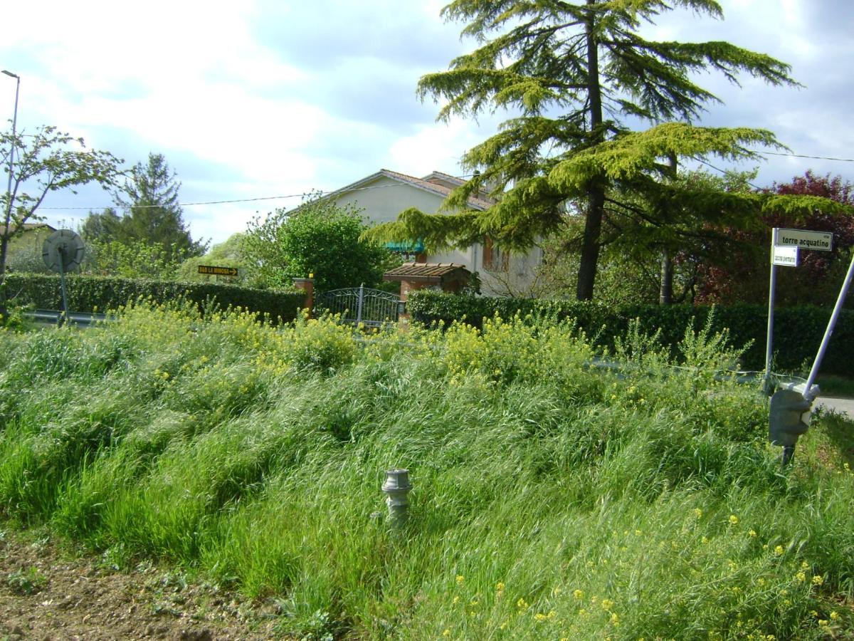 سبيلّو B&B La Mimosa المظهر الخارجي الصورة