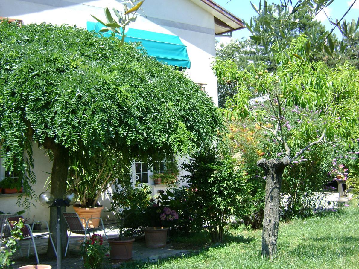 سبيلّو B&B La Mimosa المظهر الخارجي الصورة